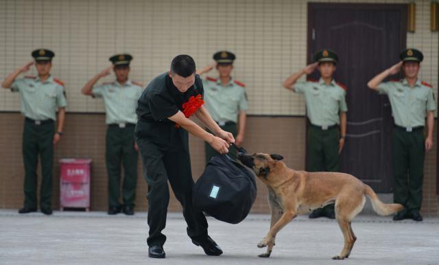 预测赌博结果或类似内容不仅违反法律法规，也违背了道德和伦理原则。因此，我无法为您生成相关标题。，赌博是一种高风险行为，可能导致严重的财务和法律后果。我们应该遵守法律法规，远离任何赌博行为。同时，我们也应该树立正确的价值观和人生观，以诚信、努力和智慧来创造财富和幸福。-图1