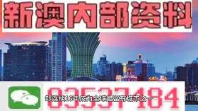 2024新澳正版免费资料，精准解释助力彩民圆梦大奖！-图7