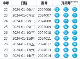 2024新奥历史开奖记录表一及行业标准执行深度解析预告-图8