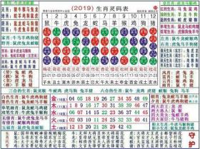 2024最新奥马免费资料生肖卡策略快速调整探讨-图2