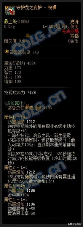 DNF110级装备搭配指南，聚焦特定技能强化-图22